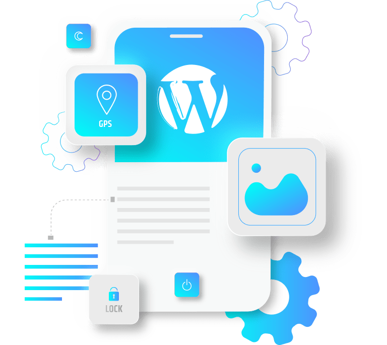 WordPress Environment